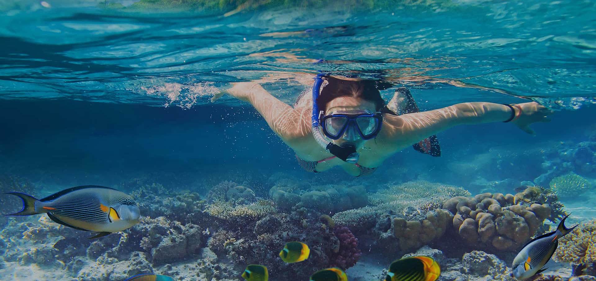 Scuba Diving In Goa